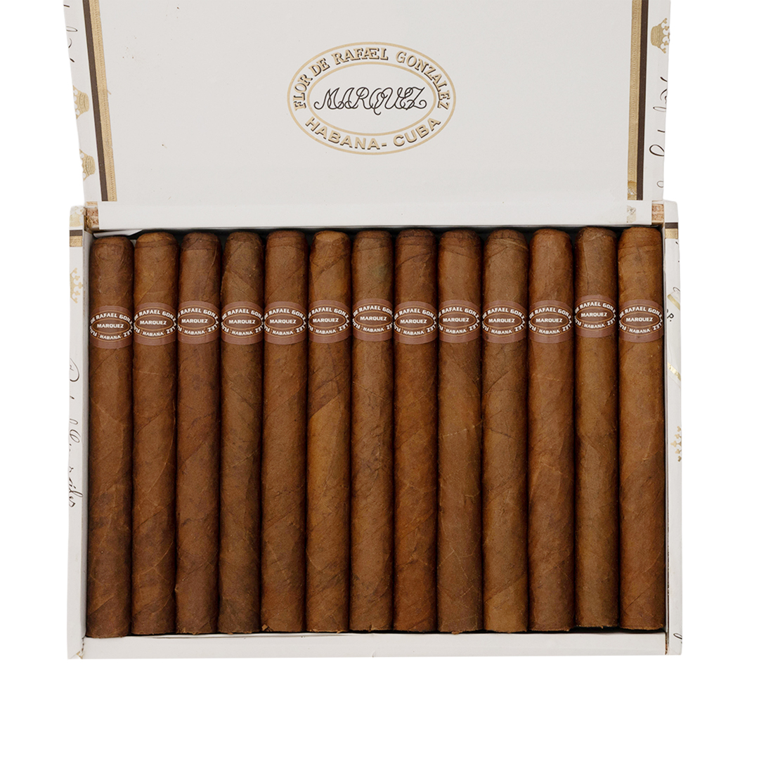 رافائيل غونزاليس بانيتيلاس إكسترا - الصورة 3