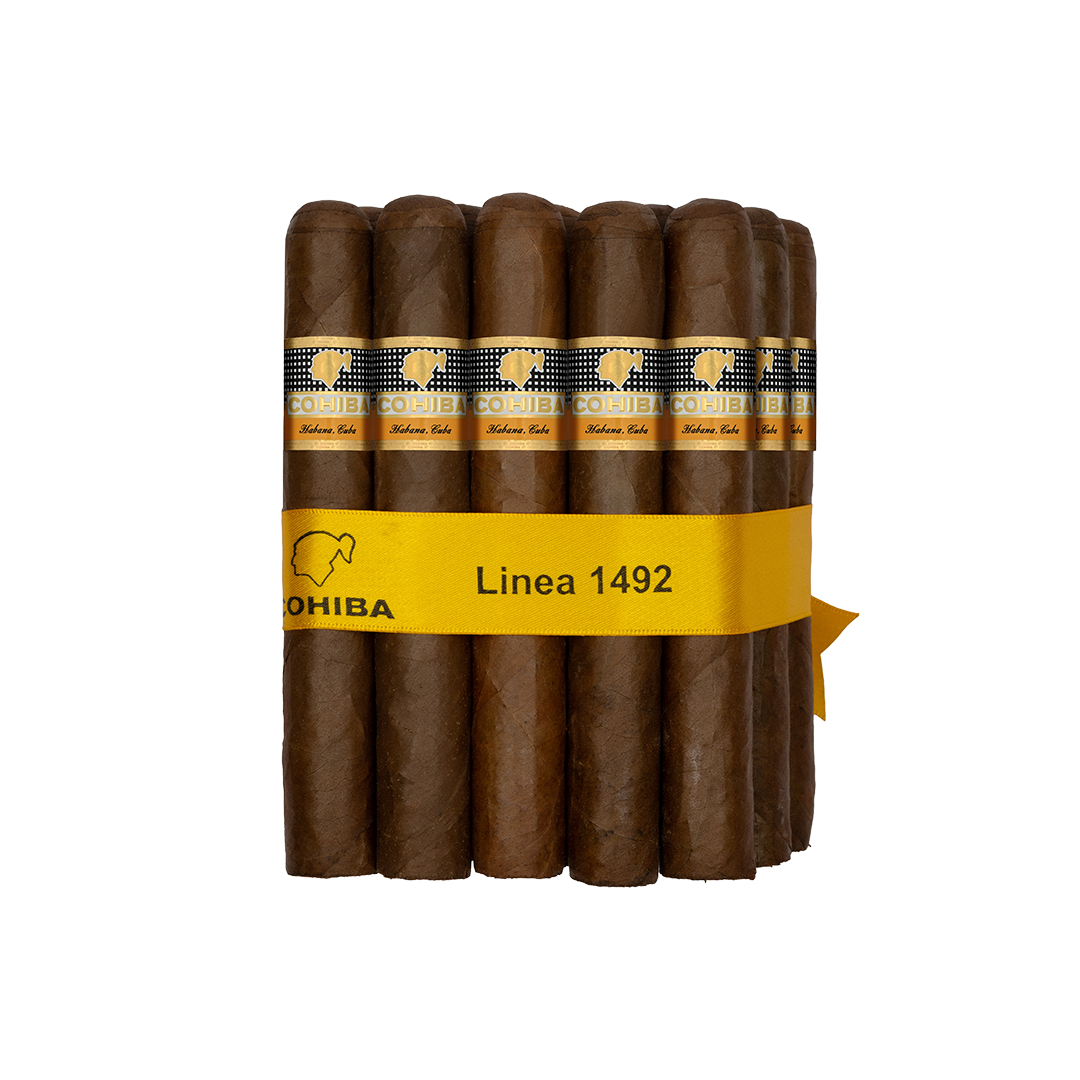 كوهيبا سغلو 6 - الصورة 3