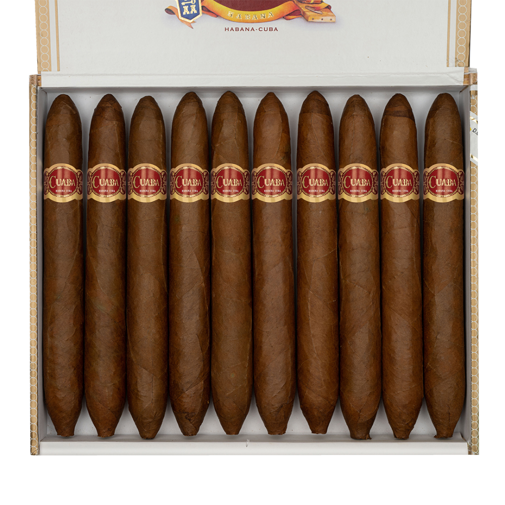 Alternative view of Cuaba Salamones