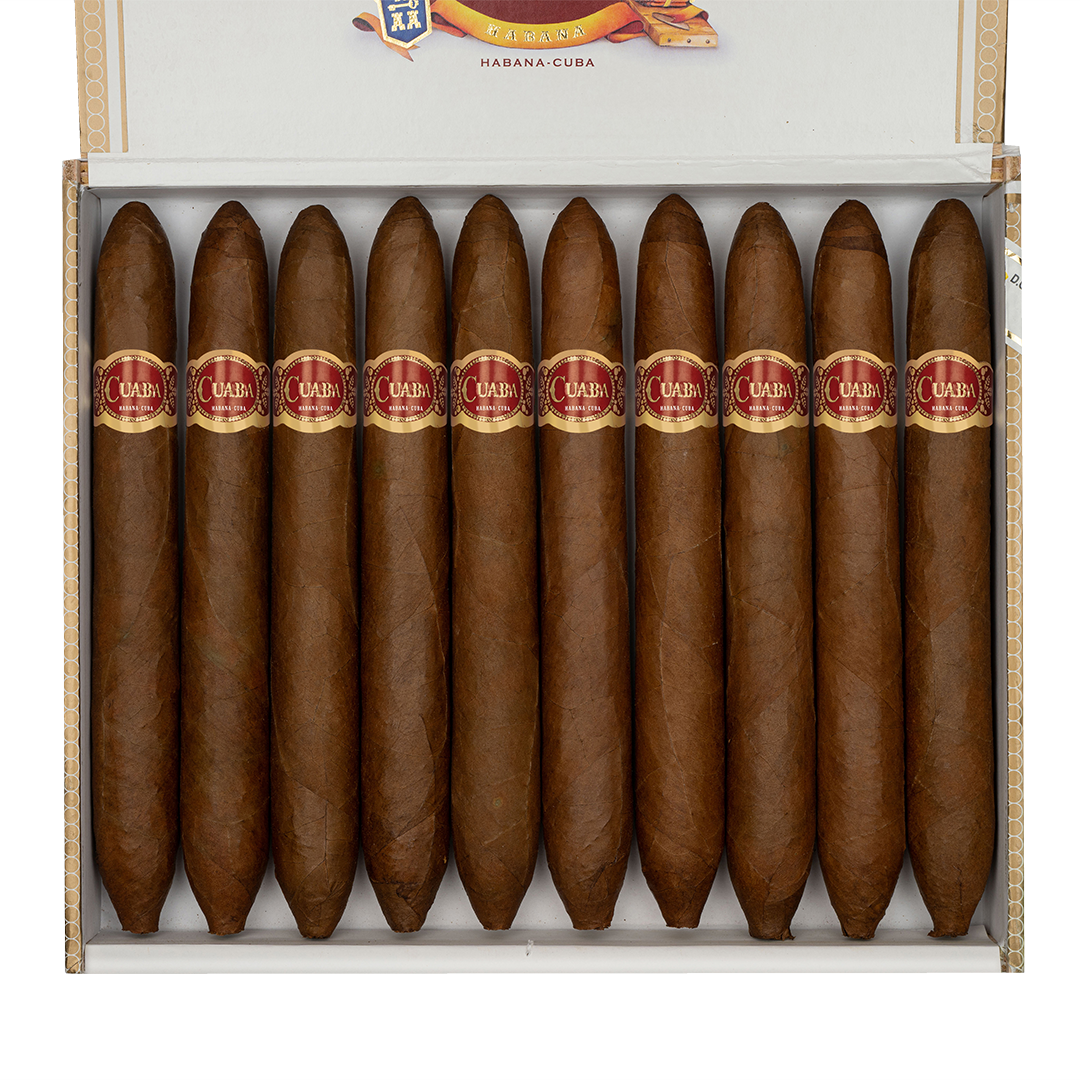 كوابا سالومونيس - الصورة 2