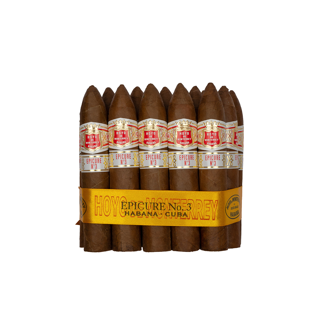 Hoyo De Monterrey Epicure No. 3 - Image 3