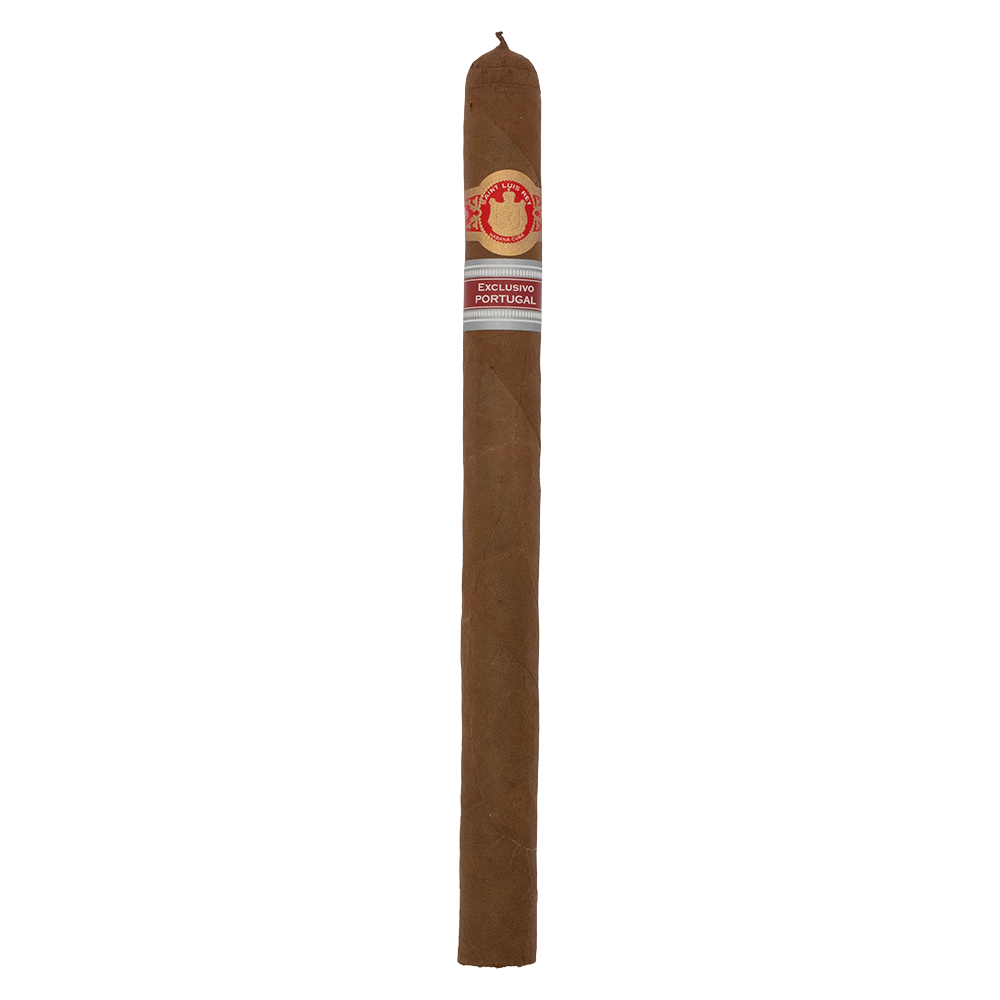 Saint Luis Rey Adamastor RE Portugal