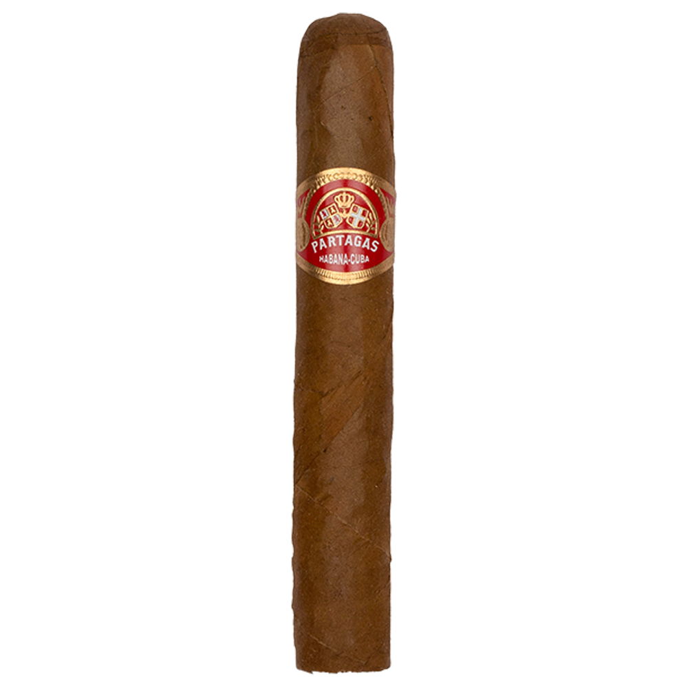 Partagas Shorts