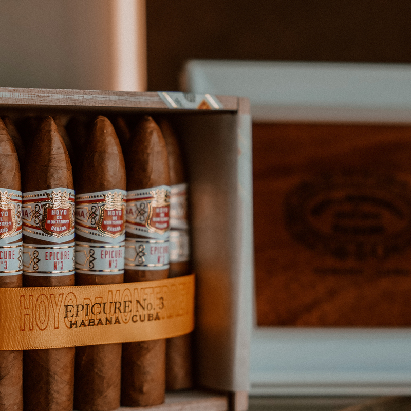 Hoyo De Monterrey Epicure No. 3 - Image 4