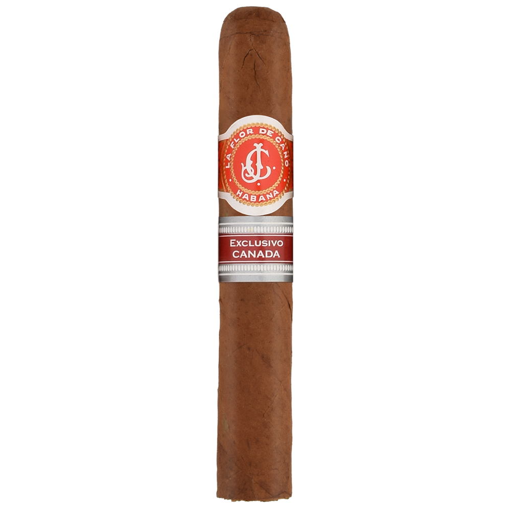 La Flor De Cano Siboney RE Canada