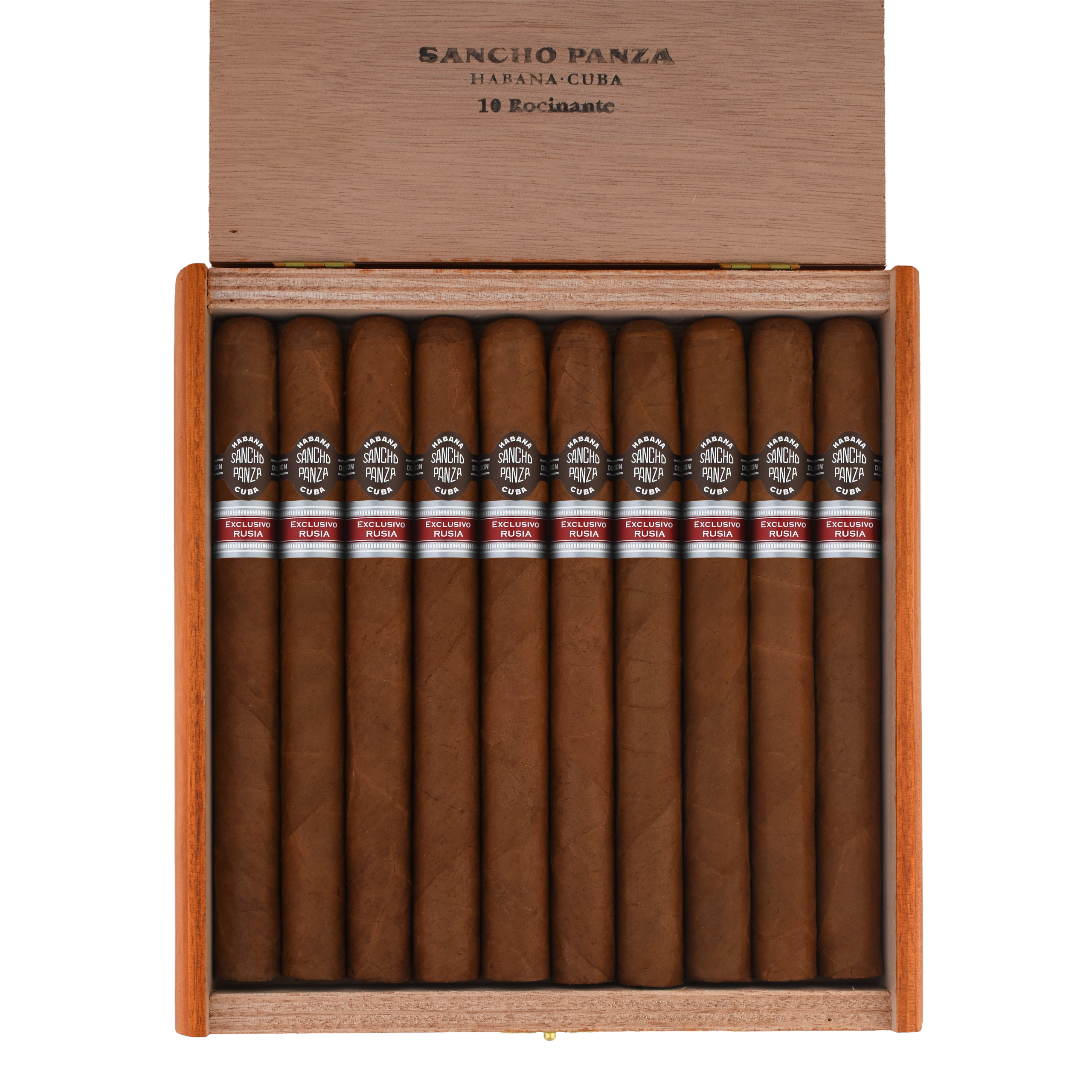 Sancho Panza Rocinante ER Rusia - Image 3